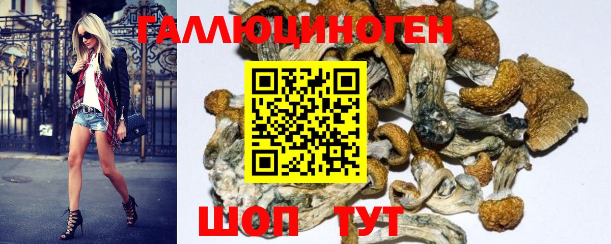 Галлюциногенные грибы прущие грибы  Галлюциногенные грибы Magic Shrooms  дарнет шоп  Вход с VPN  Выкса 